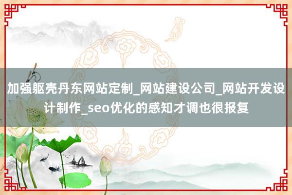加强躯壳丹东网站定制_网站建设公司_网站开发设计制作_seo优化的感知才调也很报复