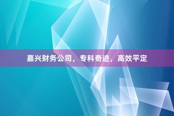 嘉兴财务公司，专科奇迹，高效平定